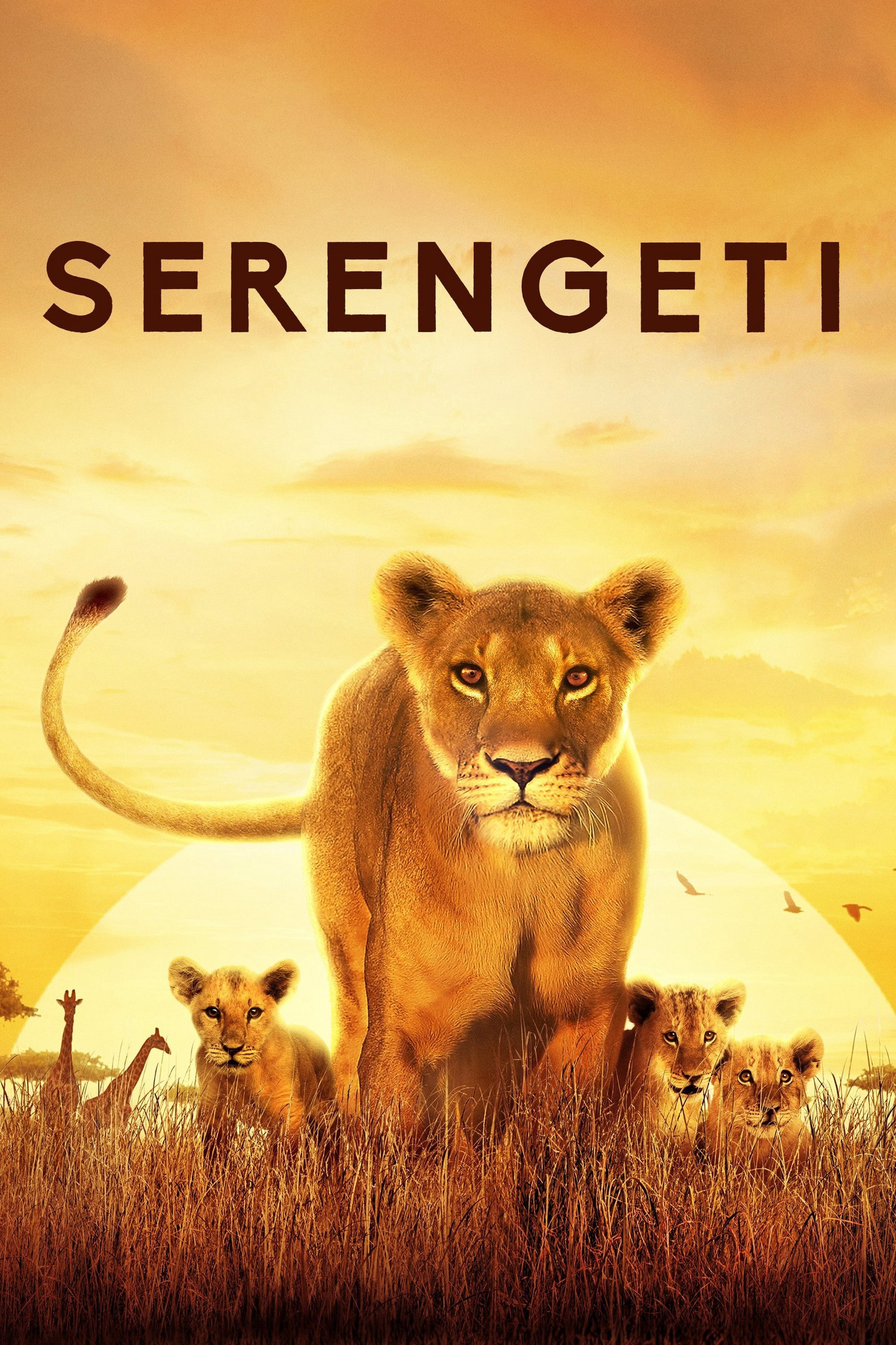Serengeti (Serengeti) [2019]