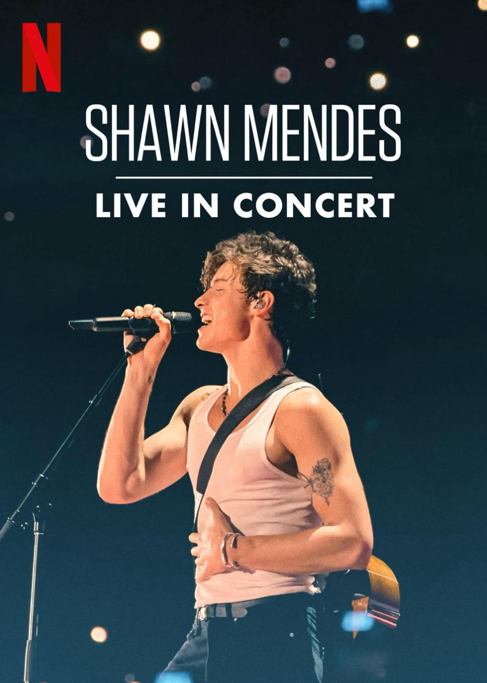 Phim Shawn Mendes: Trực tiếp tại buổi hòa nhạc