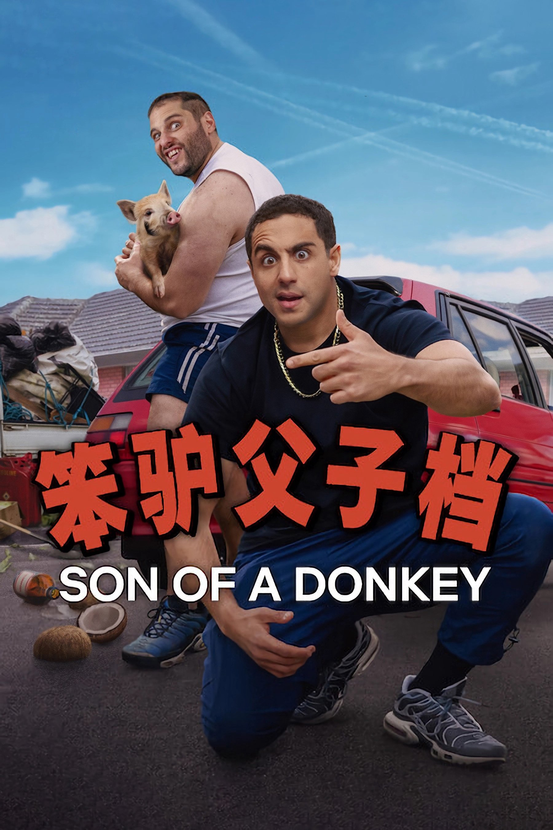 Son of a Donkey - Son of a Donkey (2025) Son of a Donkey - Son of a Donkey (2025)