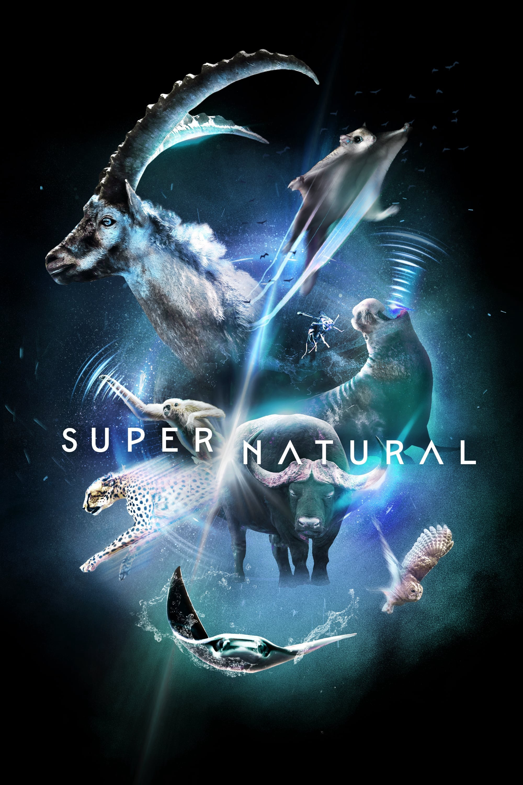 Super/Natural (2022)