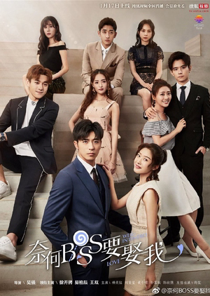 Tại sao Boss muốn cưới tôi? (2019)