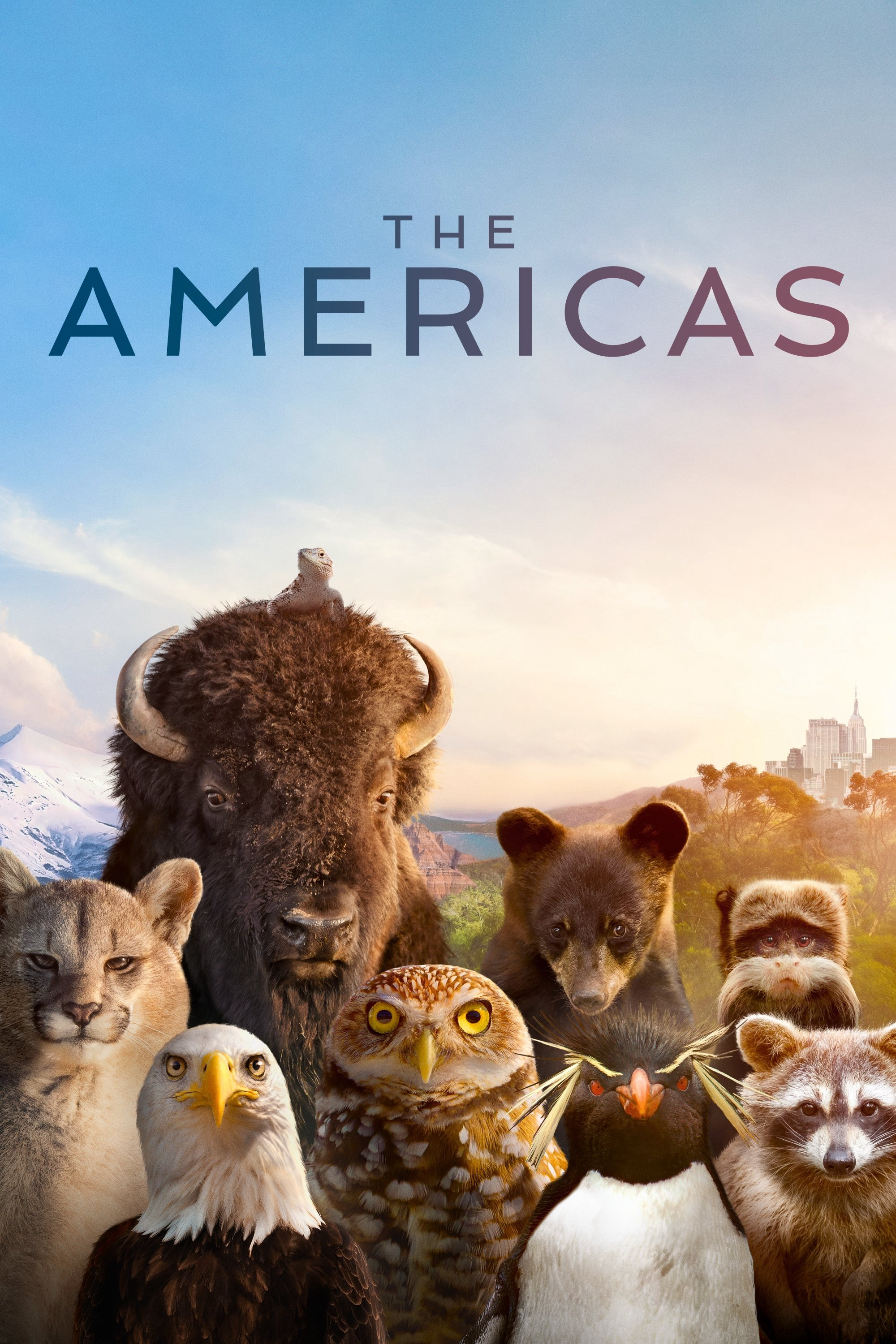 The Americas - The Americas (2025) The Americas - The Americas (2025)