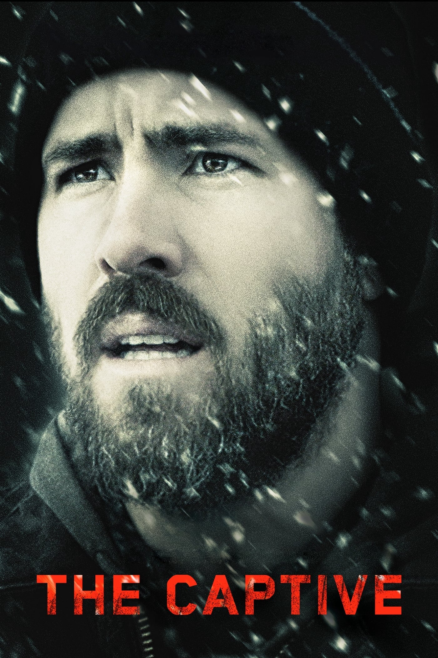 The Captive | The Captive (2014)