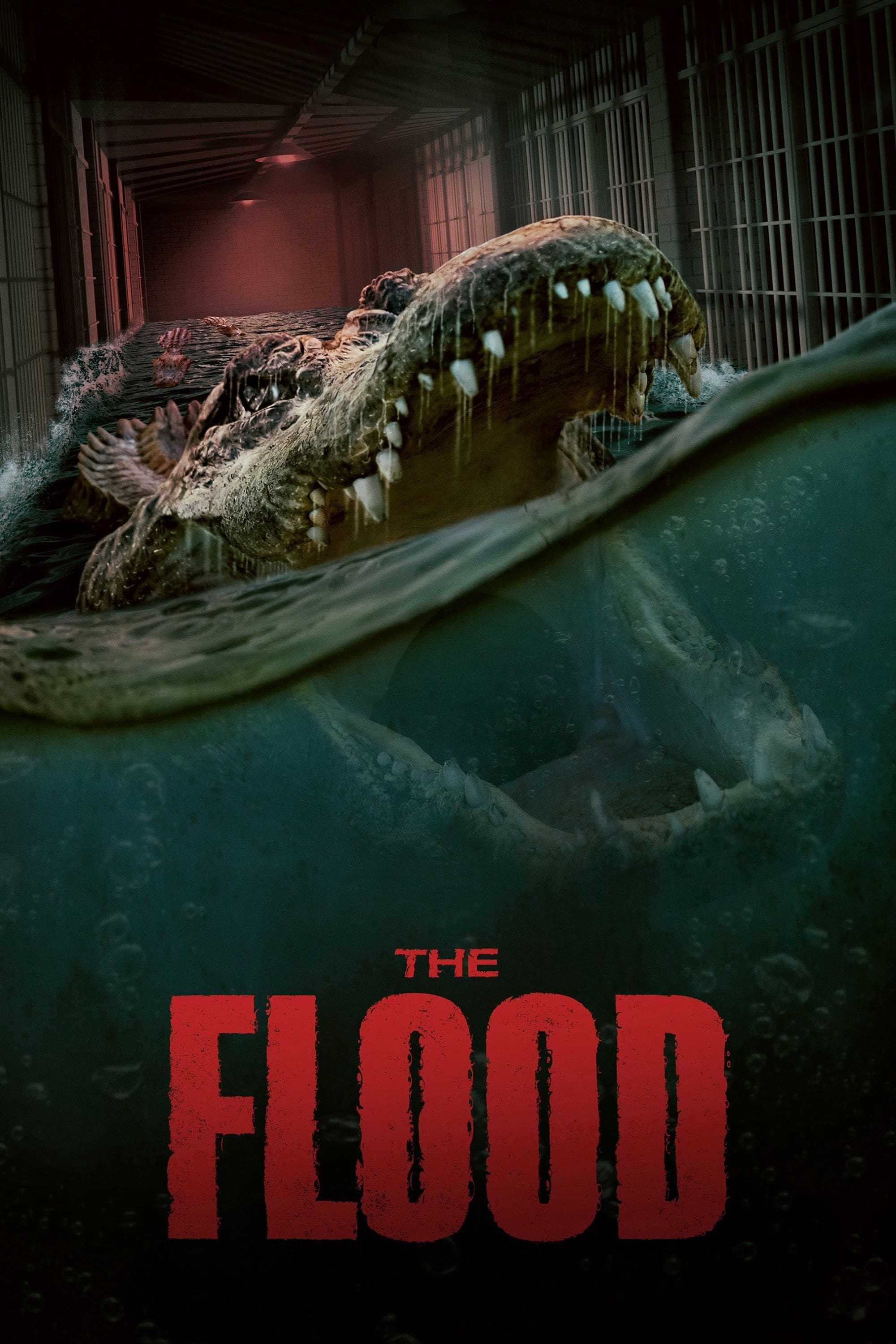 The Flood | The Flood (2023)