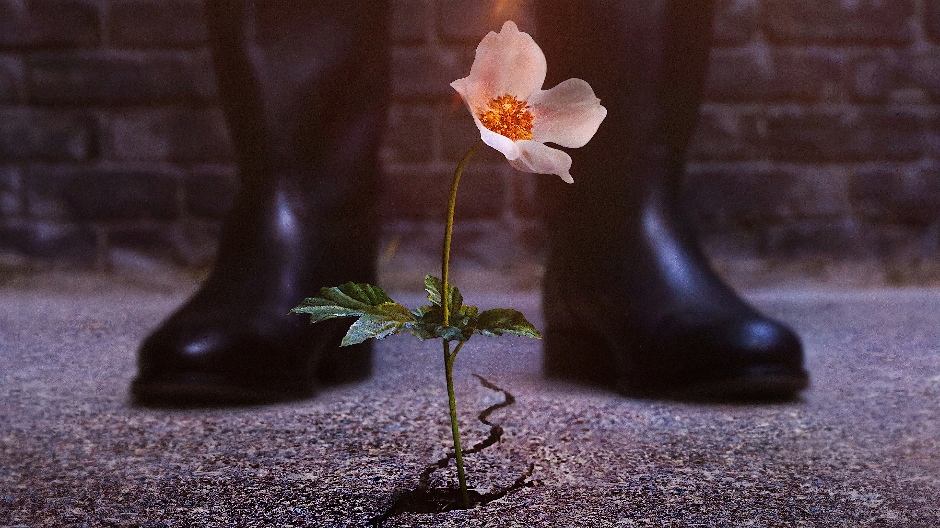 Thế Giới Của Phát Xít (Phần 4)