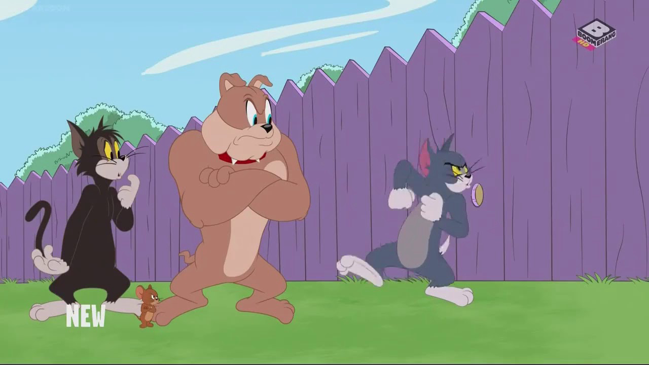 The Tom and Jerry Show (Phần 3) - The Tom and Jerry Show (Season 3) (2014)