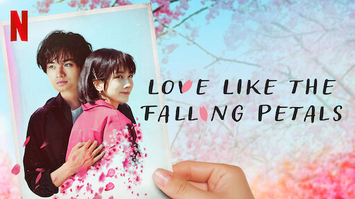 Tình yêu như cánh hoa rơi - Love Like the Falling Petals (2022)