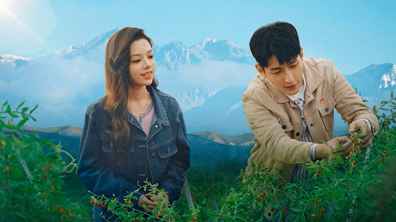 Poster phim Tình Yêu Ở Bortala
