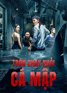 2021 - Phim lẻ《Trốn Chạy Khỏi Cá Mập》- Xem phim HD Online