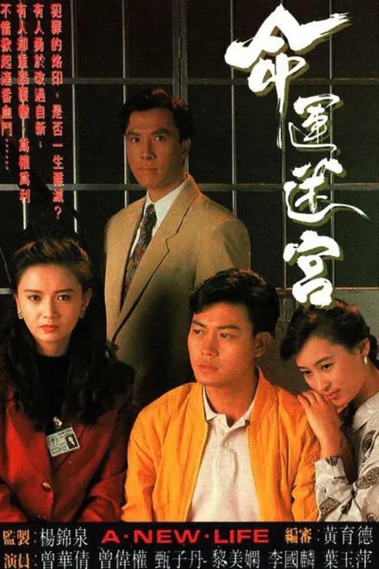 Vận Mệnh Mê Cung - A New Life (1991)