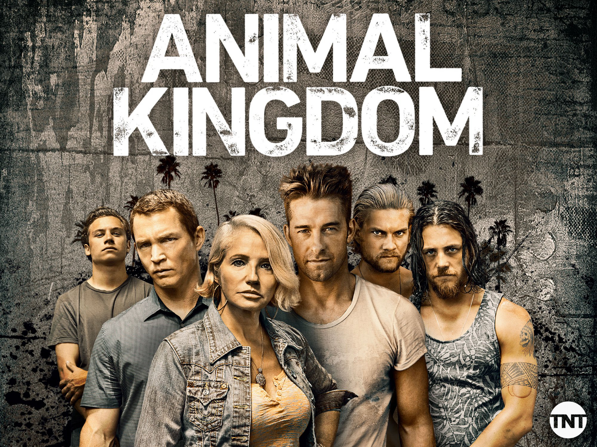 Vương quốc động vật (Phần 1) - Animal Kingdom (Season 1) (2016)
