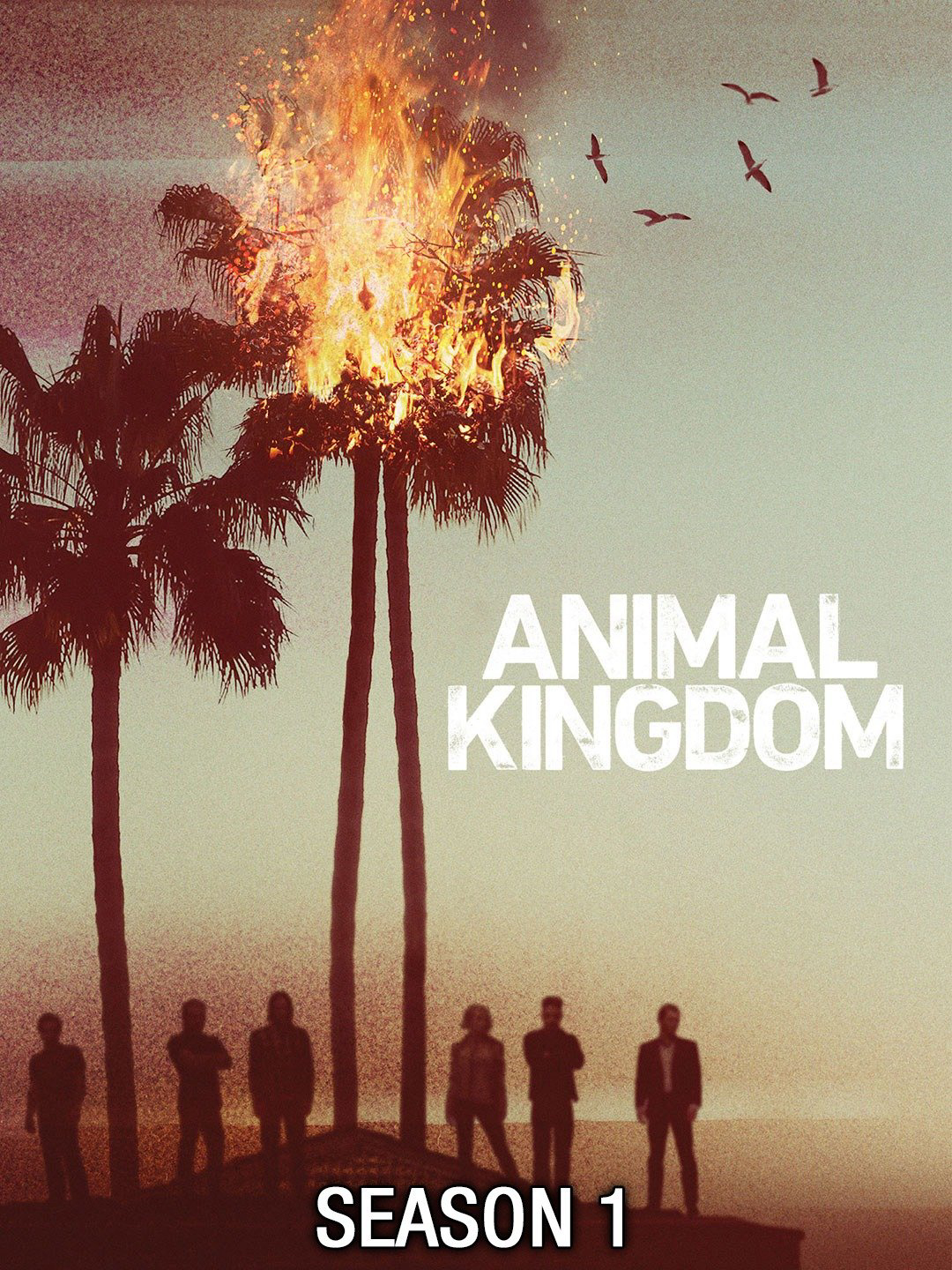 Vương quốc động vật (Phần 1) - Animal Kingdom (Season 1)