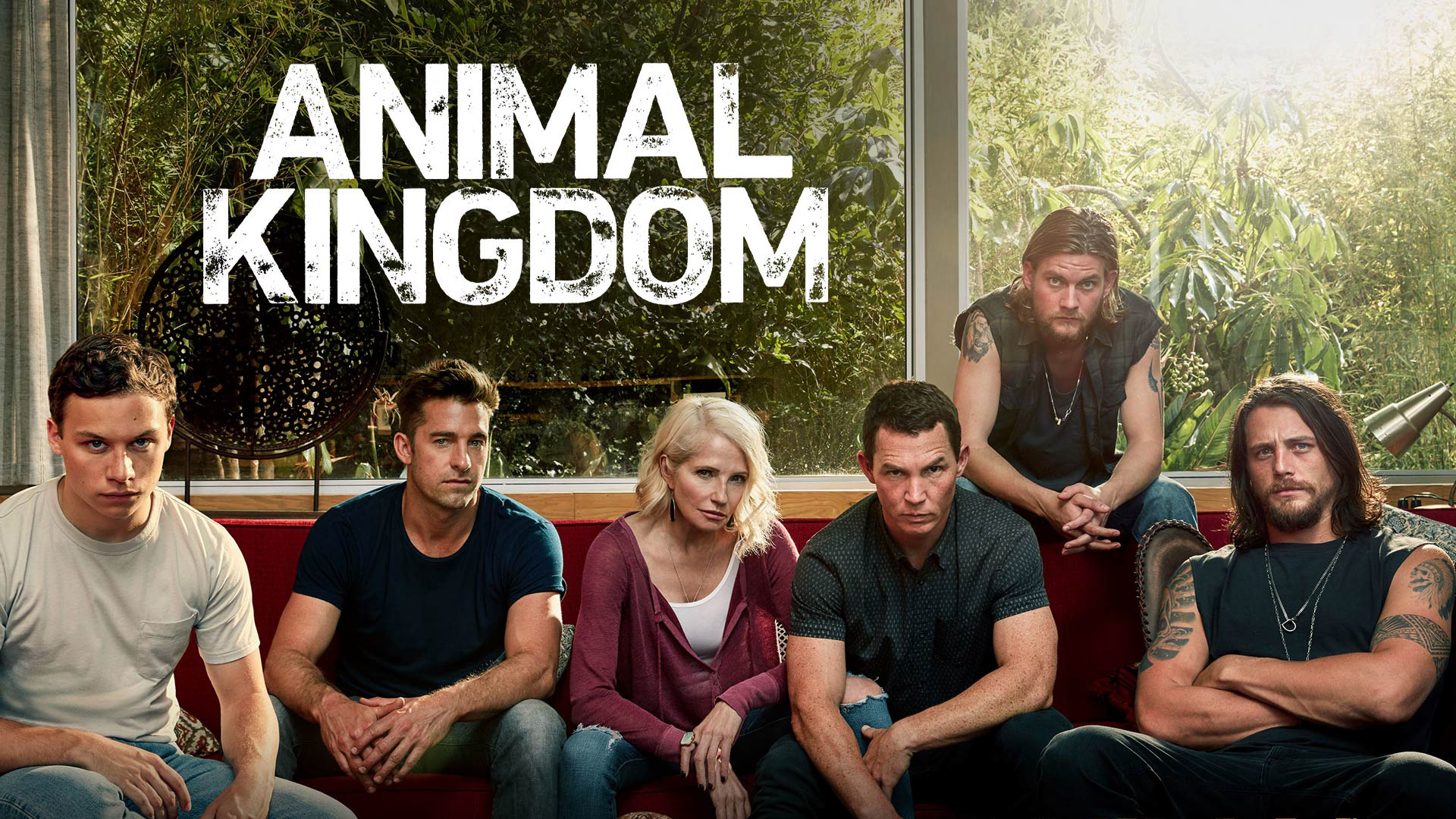 Vương quốc động vật (Phần 2) - Animal Kingdom (Season 2) (2017)