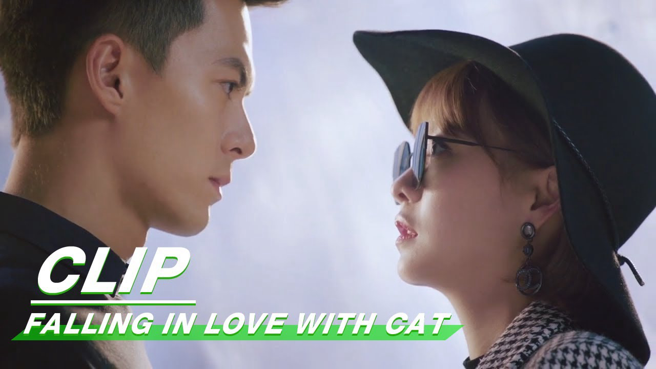 Yêu Phải Nàng Meo Tinh Falling in Love With Cat