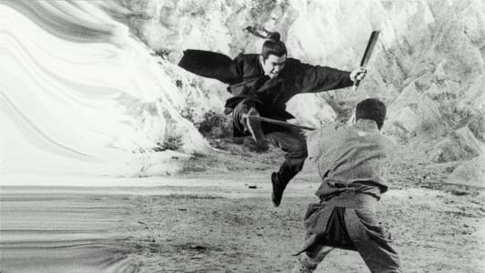 Zatoichi Meets the One-Armed Swordsman Vietsub